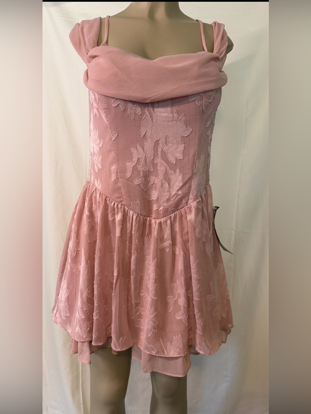 Women’s Dusty Rose Floral Embroidered Corset Mini Dress.